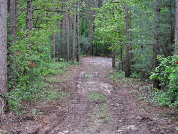 Land 2