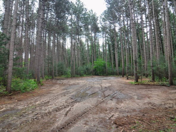 Land1